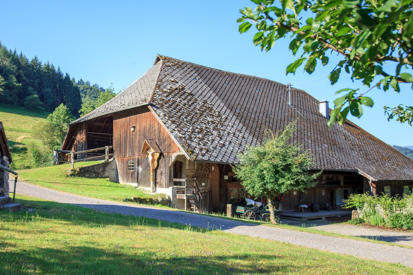 Heimatmuseum Hansmeyerhof