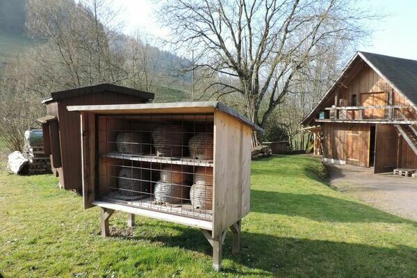 Bienentage Hansmeyerhof Heimatmuseum Buchenbach im Dreisamtal